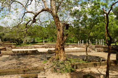 Anuradhapura, Sri Lanka - 19 Mayıs 2011: Anuradhapura, Sri Lanka'daki Kutsal Şehir Harabeleri.