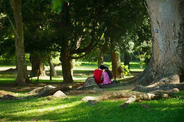 キャンディ スリランカ 2011年5月22日 正体不明のカップルは スリランカのキャンディのペラデニヤ王立植物園のヤシの木の路地でリラックス — ストック写真