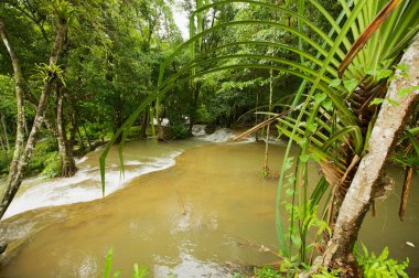 Sangkhlaburi Kroengkrawia orman şelale, Tayland.