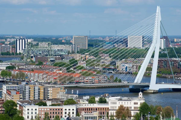 Rotterdam Nizozemsko Červen 2013 Letecký Pohled Most Erasmus Město Rotterdam — Stock fotografie