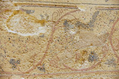 Um ar-Rasas, Ürdün'de bir arkeolojik sitede Saint Stevens Kilisesi kalıntıları antik Roma zemin mozaik parçası. Unesco Dünya mirası.