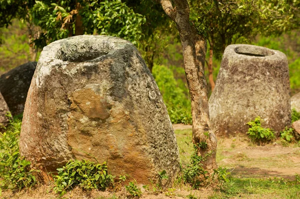 Ancient stone jars in a Plain of Jars (Site #2) near Phonsavan,  Xienghouang province, Laos