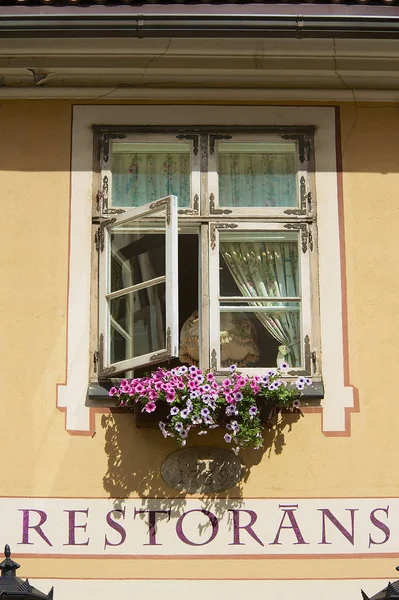Riga Latvia August 2009 Restaurant Sign Latvian Vintage Window Flowers — Stock Photo, Image