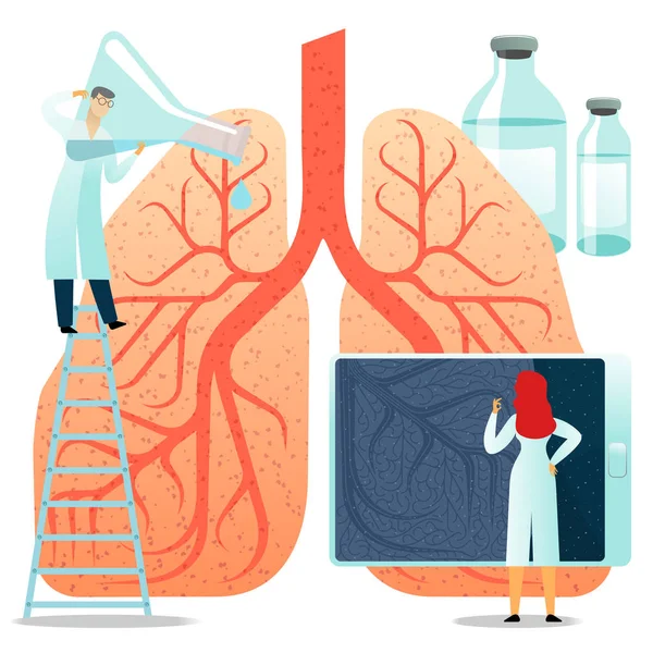Vector flat illustrations, large human lungs on a white background — Stock Vector