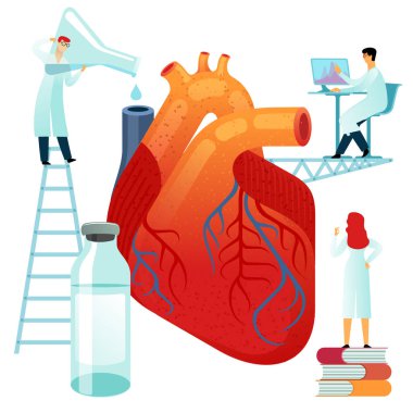 Vektör düz çizimler, beyaz bir arka plan üzerinde büyük insan kalbi