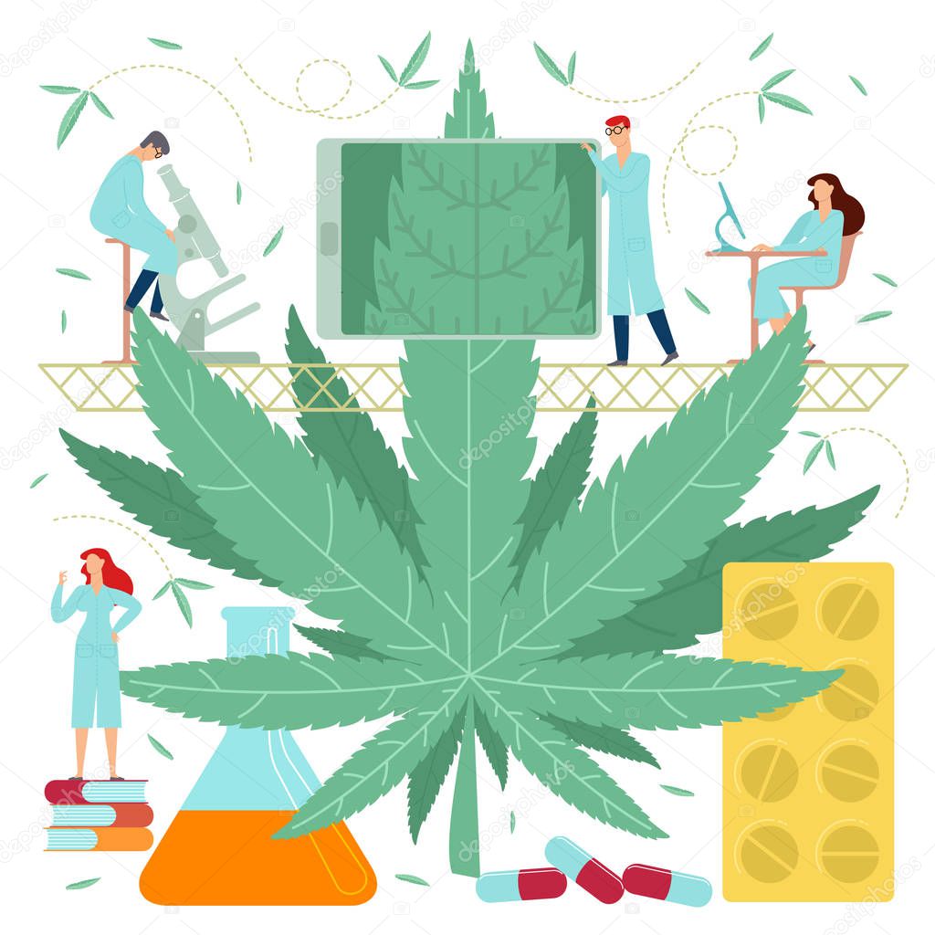 Vector flat illustration, big cannabis leaves on white background