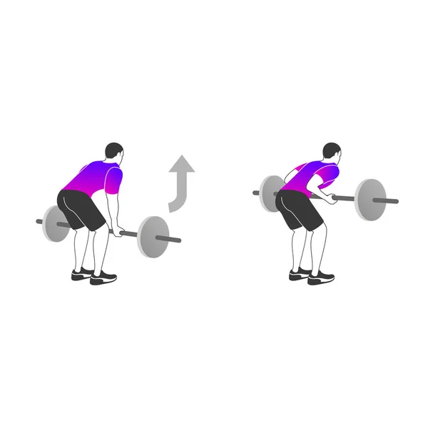 Exercices de fitness pour dos et biceps forts — Image vectorielle