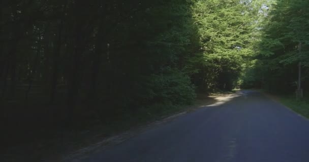 Flytta Över Väg Lövskog Fotografering Solig Dag — Stockvideo