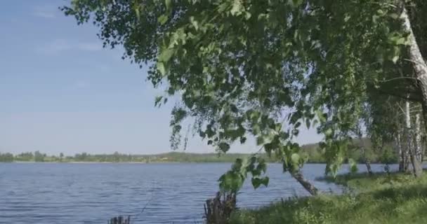 4K - movement to the lake through the foliage of birches, slow motion — Stock Video