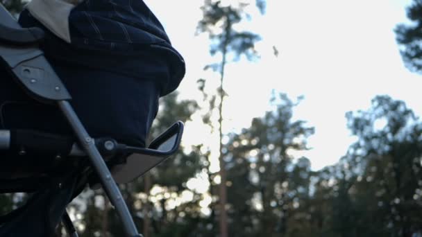 Zeitlupe bewegt sich - Kinderwagen im Wald. — Stockvideo