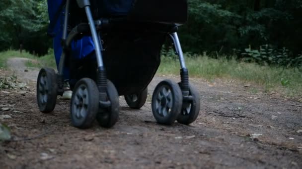 Part of the stroller in slow motion moving in the forest. — Stock Video