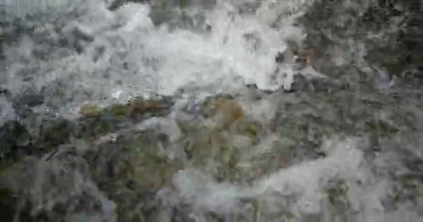 Wasserfluss des Gebirgsflusses. — Stockvideo
