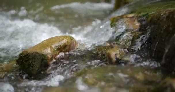 Fluxo de água em 4k do rio de montanha . — Vídeo de Stock