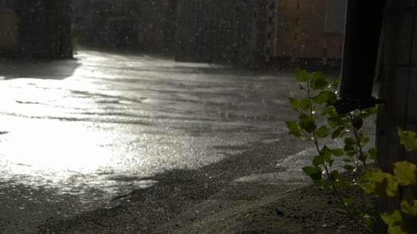Вантажівка їде в дощову погоду в повільному русі — стокове відео
