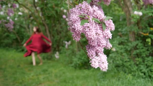 Молодая девушка танцует на заднем плане среди кустов сирени в замедленной съемке — стоковое видео