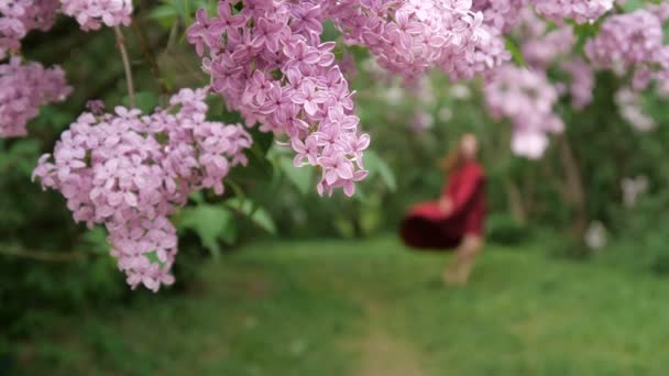 Mince fille hors foyer dansant dans une robe lâche parmi les buissons de lilas — Video