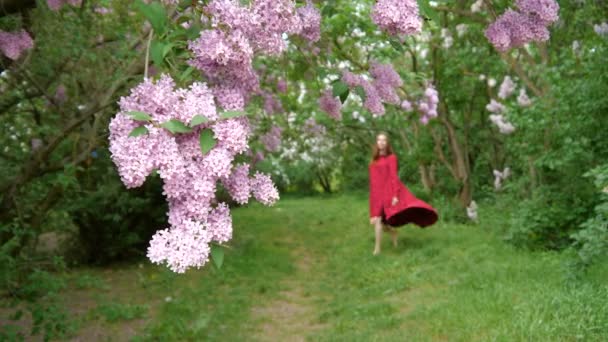 Schönes Mädchen im roten Kleid kommt nach draußen — Stockvideo