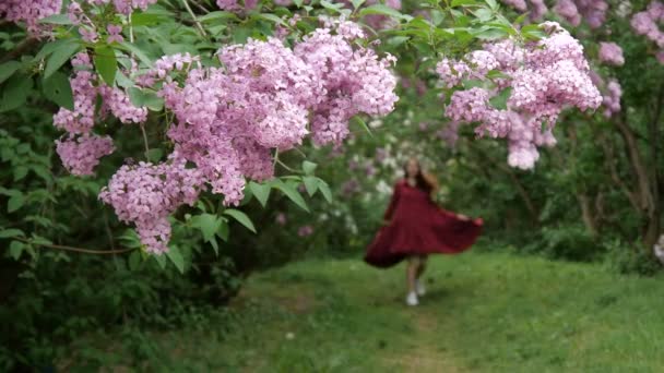 Fille mince dans une robe lâche se promène joyeusement dans le jardin — Video