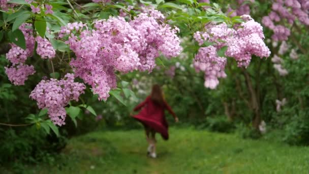 Fille mince dans une robe ample tourbillonne parmi les buissons à fleurs — Video