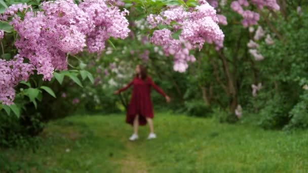 Menina delgada de cabelos escuros em um vestido solto gira entre arbustos floridos — Vídeo de Stock