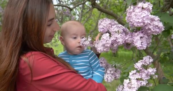4k - krásná mladá žena lechtá babys nos s fialovými květy v pomalém pohybu — Stock video