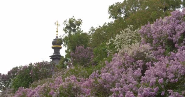 Kirche, Kreuz und Flieder auf dem Hügel. — Stockvideo