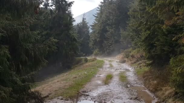 霧と雲山の道. — ストック動画