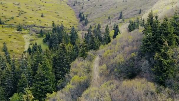 Лес в горах от беспилотника . — стоковое видео