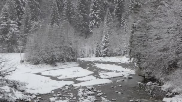 Handheld shot of mountain river during snowfall. — Stock Video