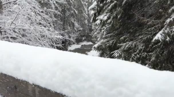 Pont en bois dans la forêt de neige sur la rivière de montagne . — Video