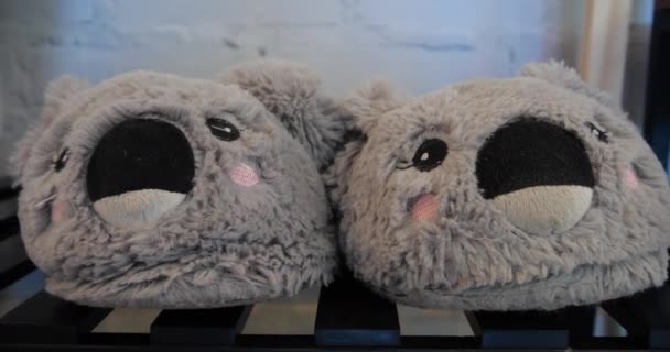 Slippers Legs Form Koalas Action Real Time — Stock Video