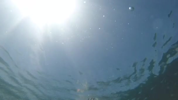 Підводний знімок плавця, який плаває на морі під сонячним світлом . — стокове відео