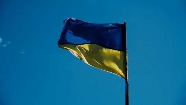 Drapeau de l'Ukraine au ralenti . — Video