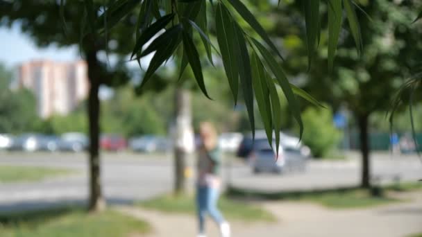 Tjej går på gatan på bakgrunden och blad av Salix på förgrunden — Stockvideo