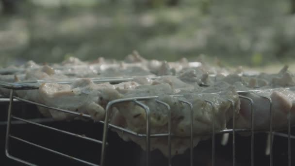 4k cámara lenta - primer plano de los kebabs de cocina en el bosque sobre las brasas — Vídeos de Stock