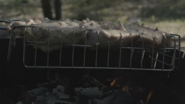 4k câmera lenta - close-up tiro dos kebabs de cozinha na floresta sobre as brasas — Vídeo de Stock