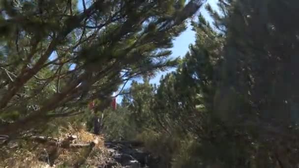 Turista feminino escalando uma montanha cheia de pedras nos Cárpatos — Vídeo de Stock