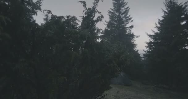 Árboles de coníferas verdes en las montañas Cárpatos en otoño en cámara lenta . — Vídeo de stock