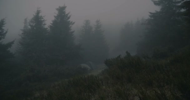 スローモーションで暗いトウヒの森に設置された2つの小さな球状のテント. — ストック動画