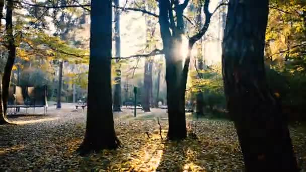 Parco giochi per bambini nella foresta con molte foglie arancioni . — Video Stock