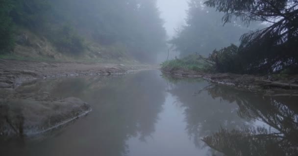 Маленькое озеро, окруженное высокими еловыми деревьями и покрытое туманом в сло-мо — стоковое видео