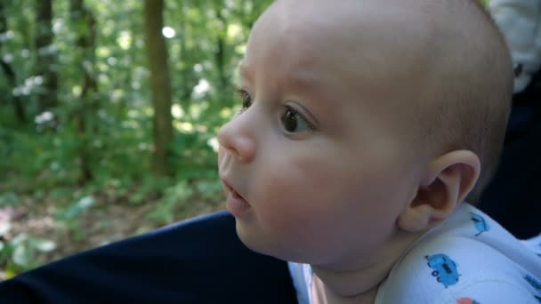 Enfant avec de grands yeux et larme sur le visage allongé dans la poussette dans la forêt . — Video