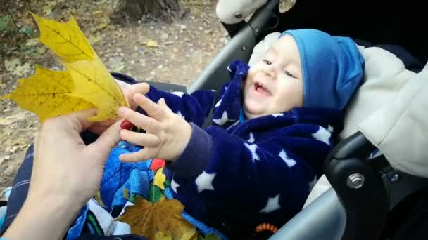 Little boy with smile on the face play with yellow leaf sitting in the stroller. — Stock Video