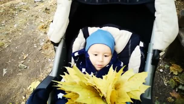 Το αγόρι του μωρού στο καροτσάκι παίζει με τα κίτρινα φύλλα σε αργή κίνηση-θέα στο POV. — Αρχείο Βίντεο