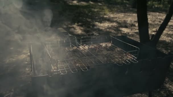 Otrolig delikatess-grillat kött i skogen slow motion. — Stockvideo