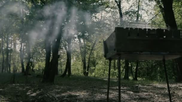 Amazing slow motion in the forest - smoke from bbq. — Stock Video