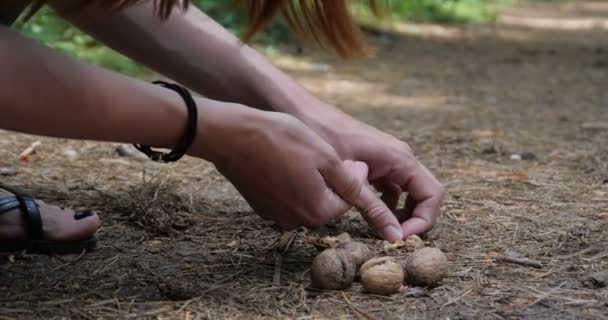 4k - las manos de la mujer ponen las nueces en el suelo . — Vídeos de Stock