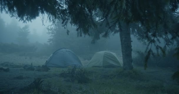 Skräck titta i skogen-två sfäriska tält i en gräs bevuxen gräs matta i en skog — Stockvideo