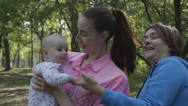 Cacher et chercher dans la forêt - famille heureuse au ralenti 4k . — Video