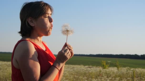 Задумчивая женщина, дующая на воздушный одуванчик с летающими цветками в замедленной съемке — стоковое видео